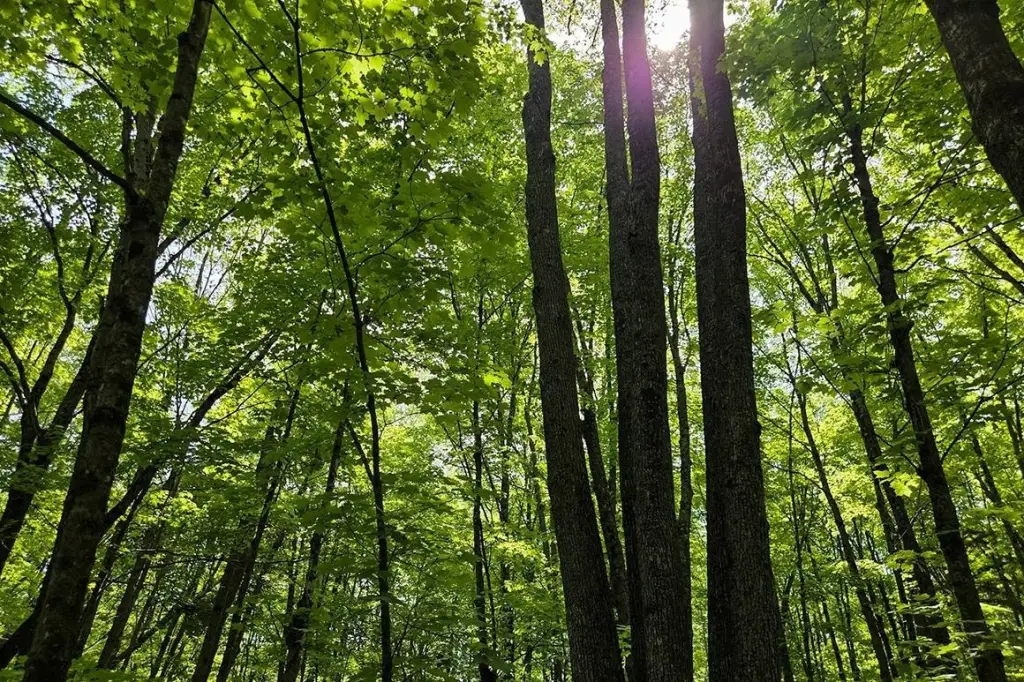 Picture 9