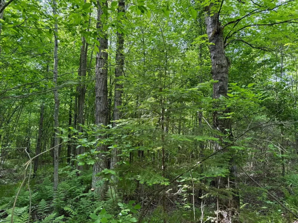 Picture 21