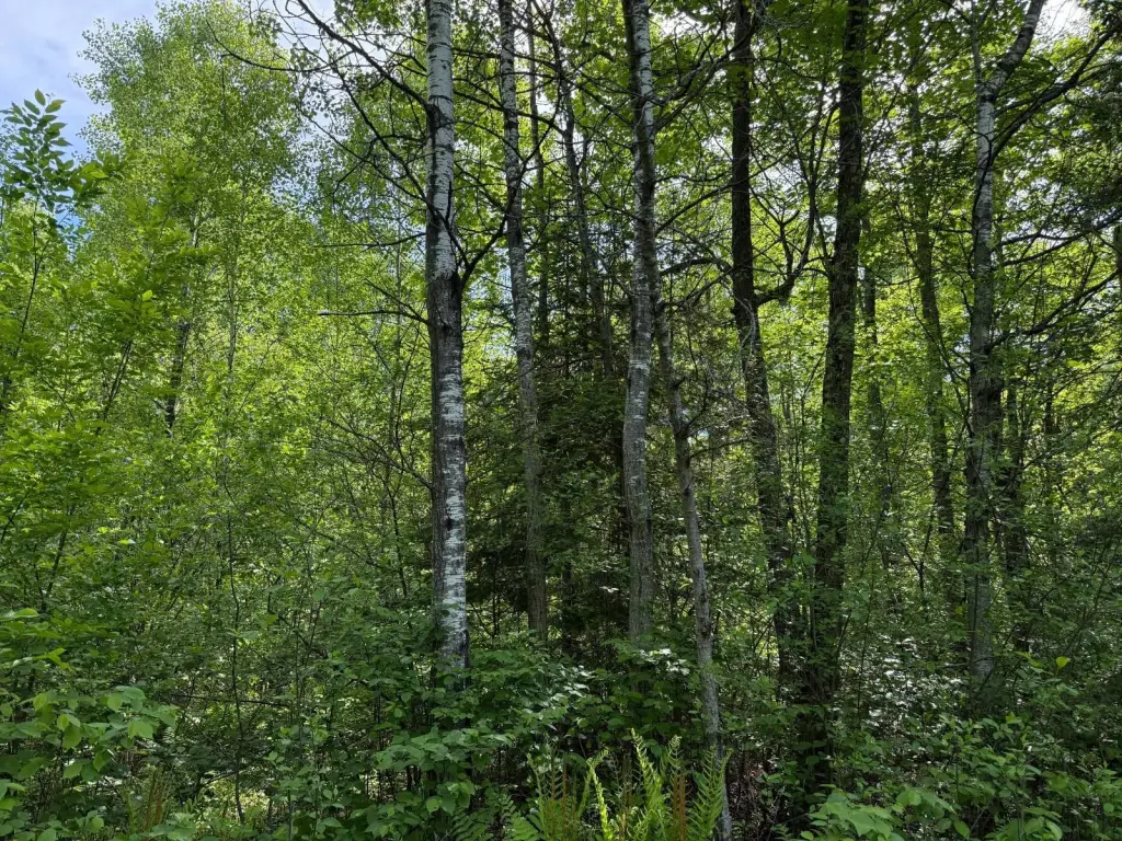 Picture 26