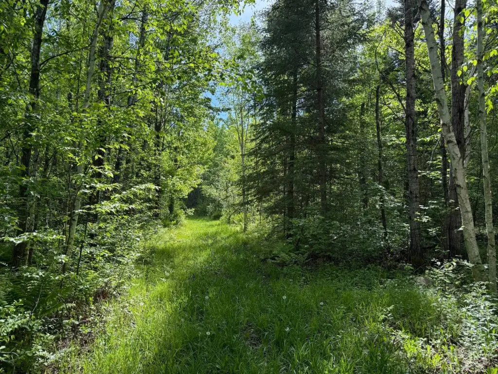 Picture 23
