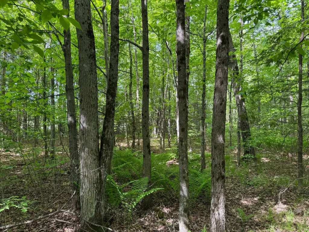 Picture 18