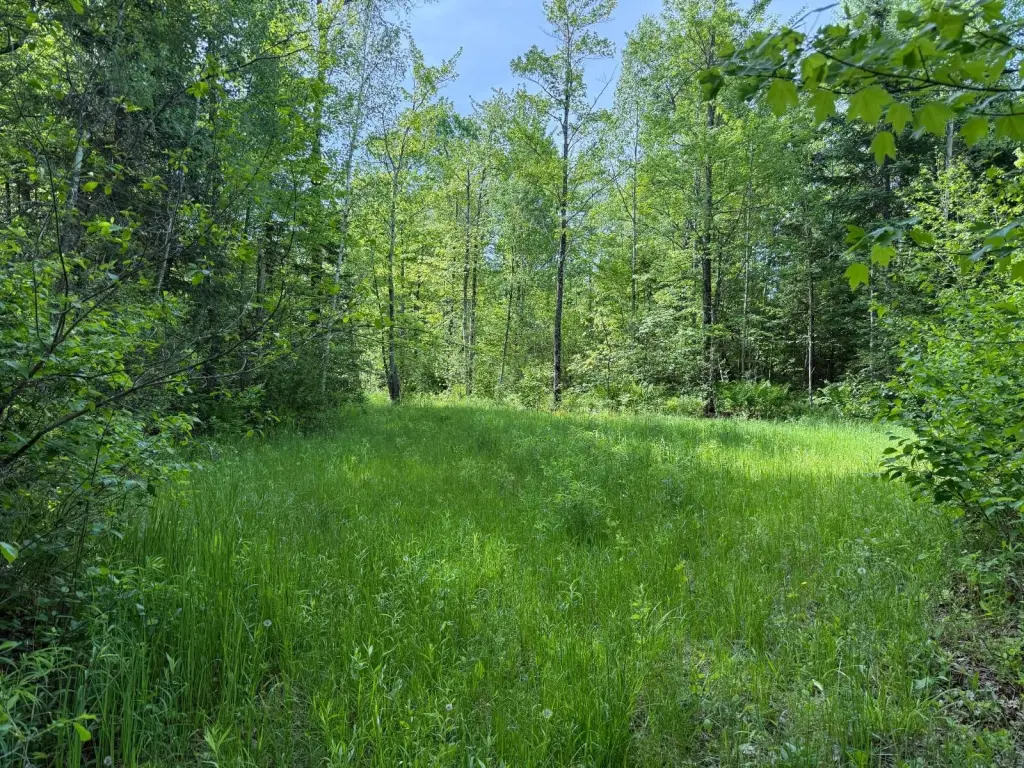 Picture 25