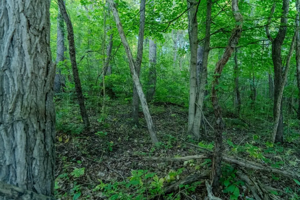 Picture 10