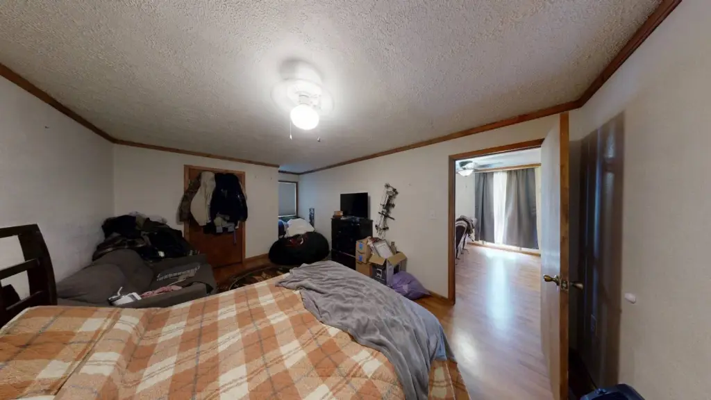 Picture 11