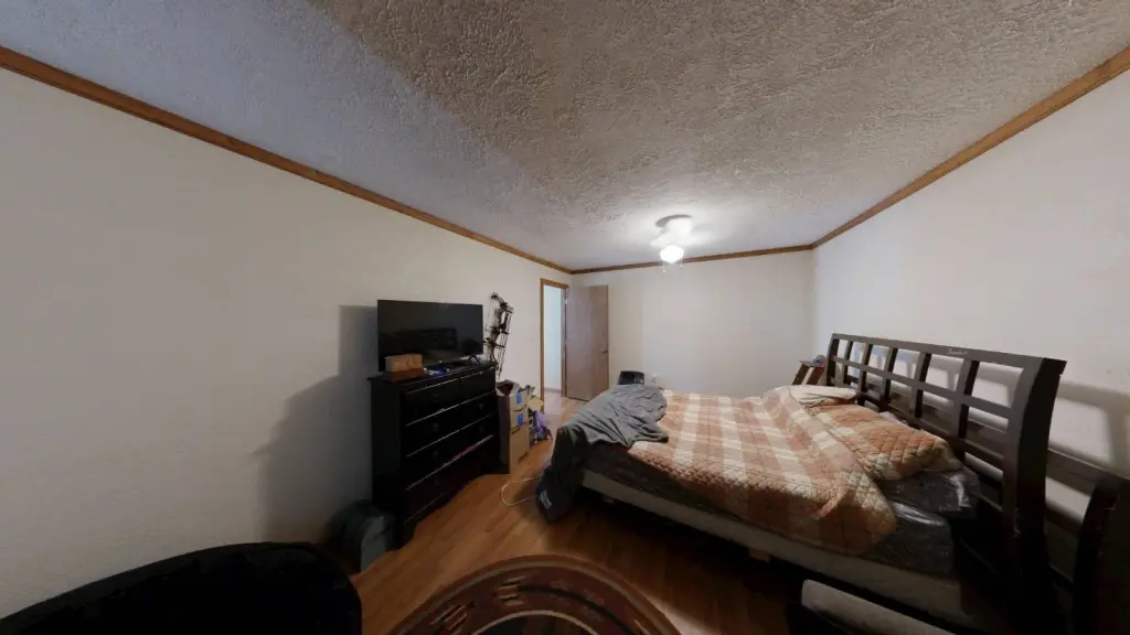 Picture 12