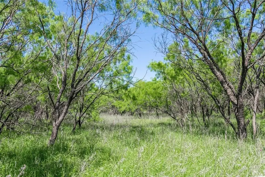 Picture 30
