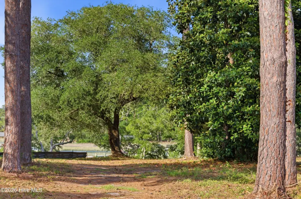 Picture 24