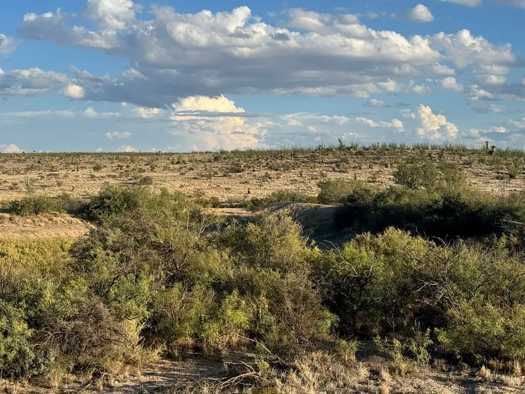 Picture 13