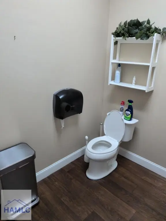 Picture 11