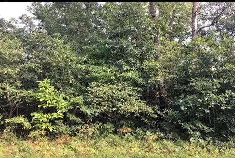 Wooded Corner Lot in Wheatfield