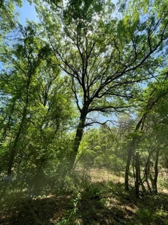Picture 2