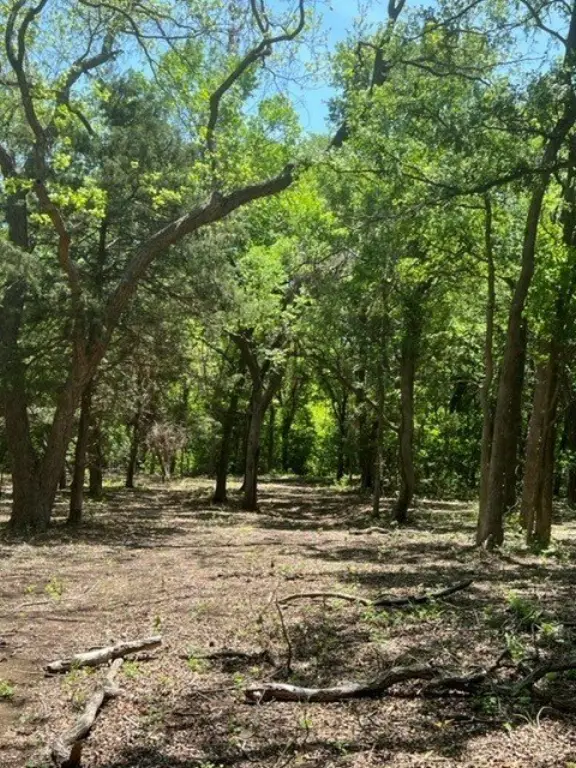 Picture 7