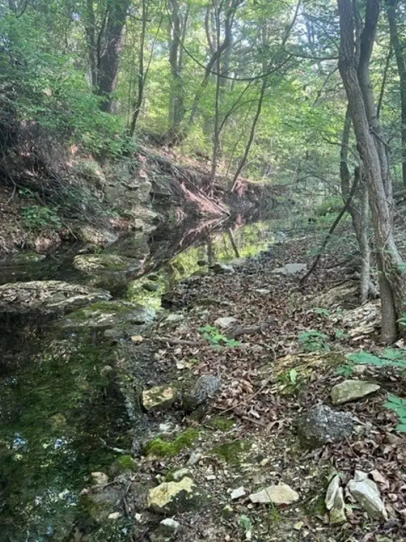 Picture 10