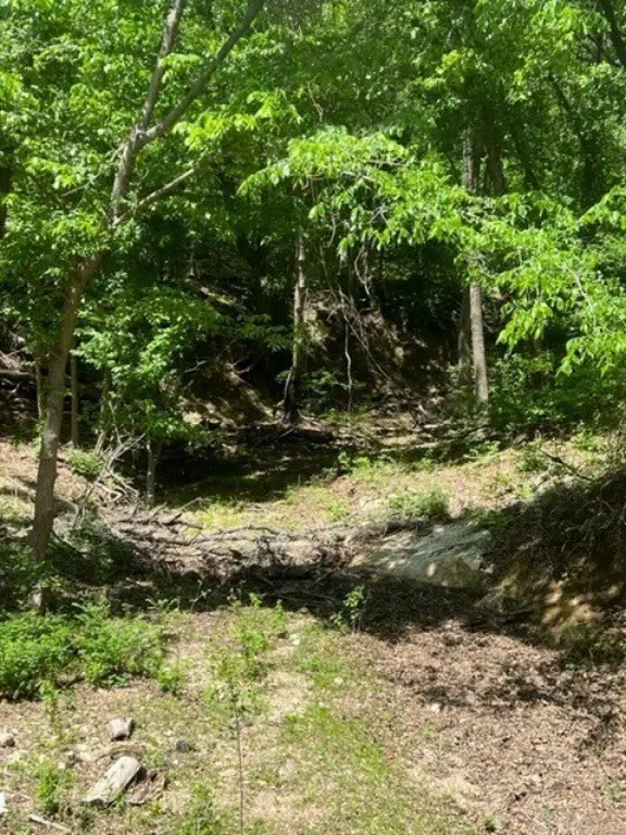 Picture 3