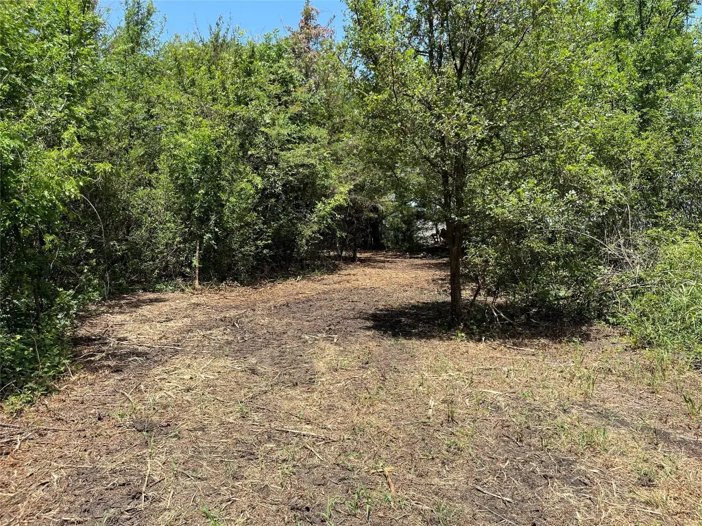 Picture 11