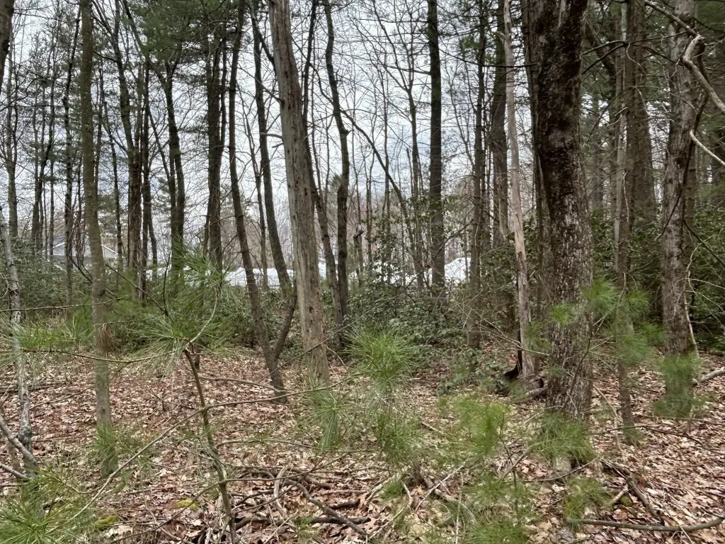 Picture 9