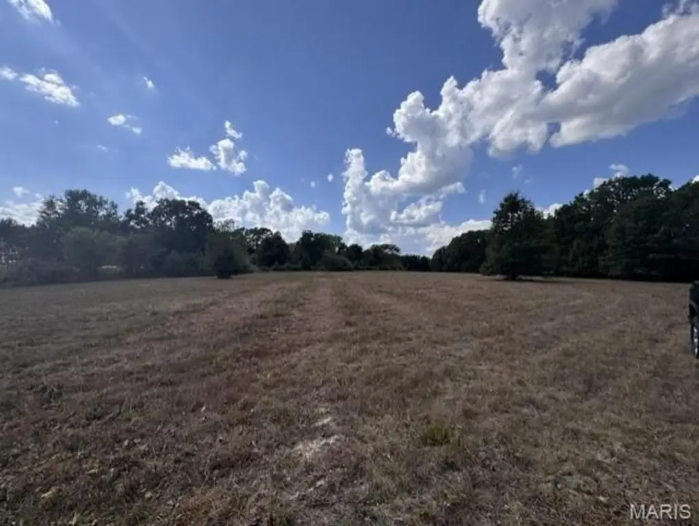 Picture 14