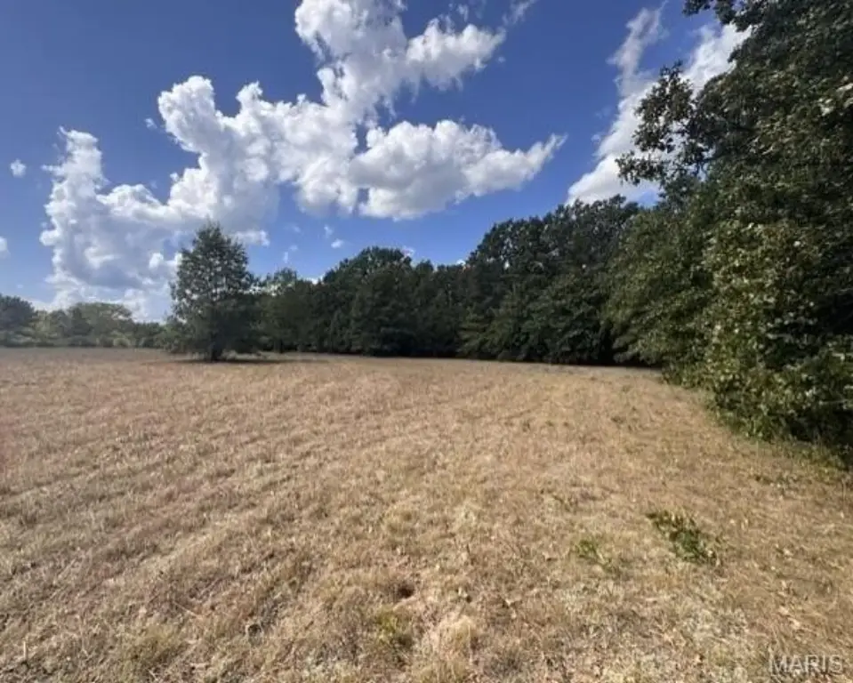 Picture 15