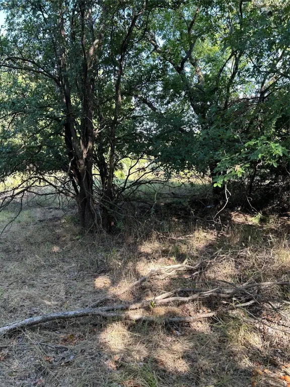 Picture 22