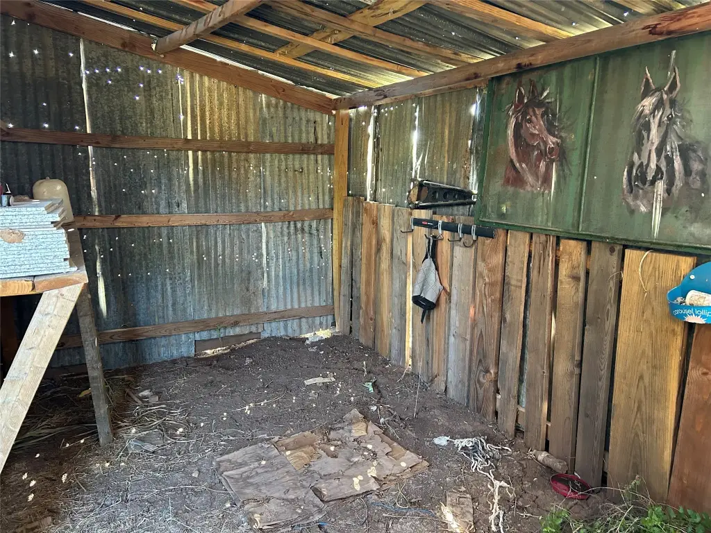 Picture 15