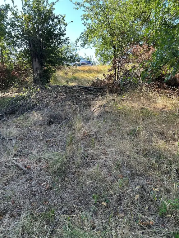 Picture 23