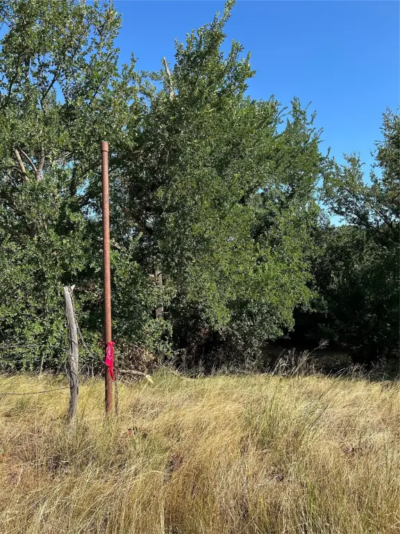 Picture 25