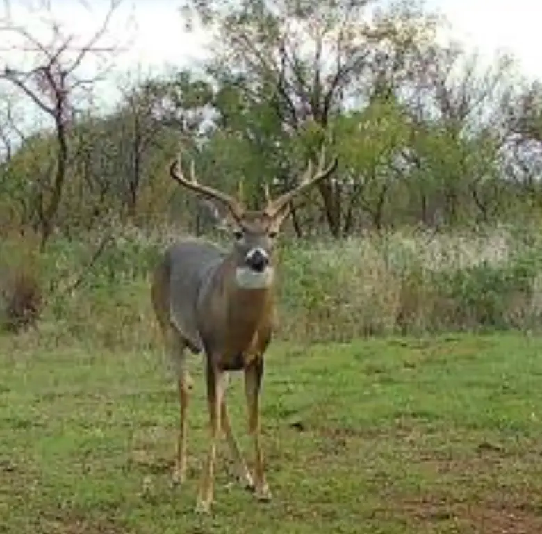 Picture 36