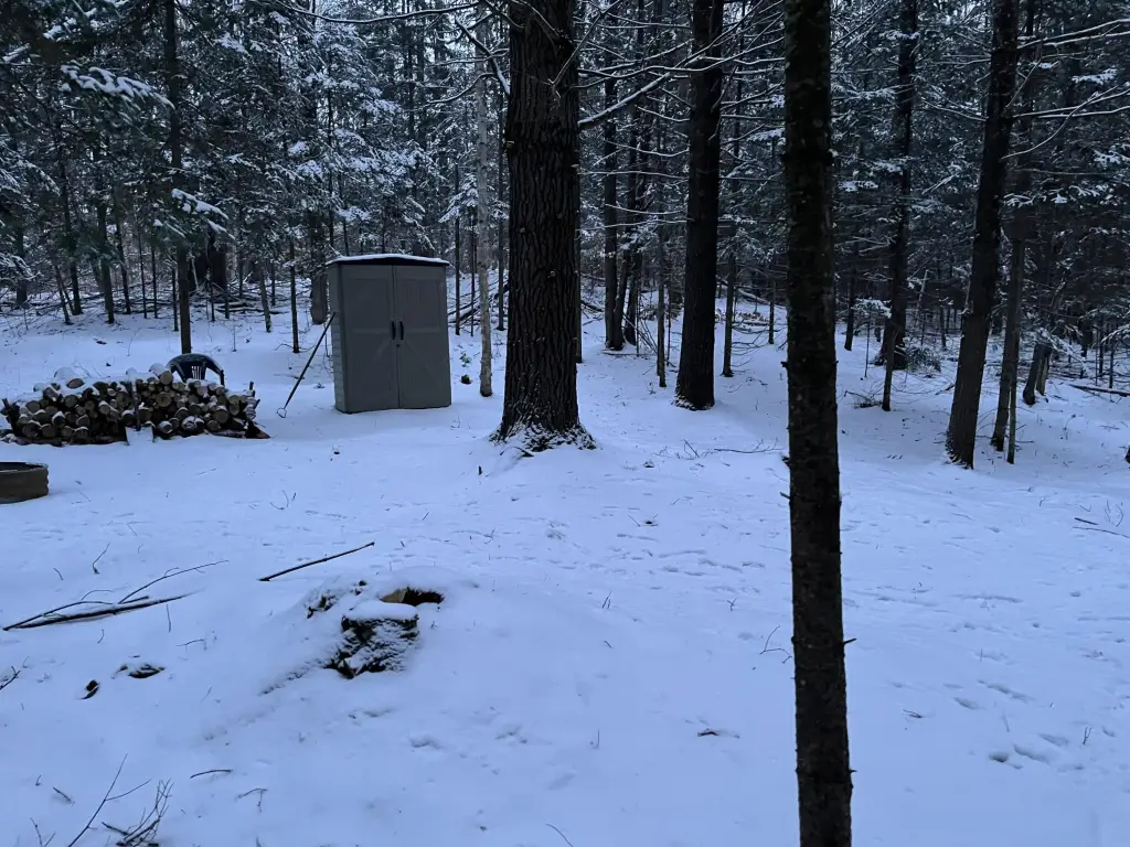 Picture 23