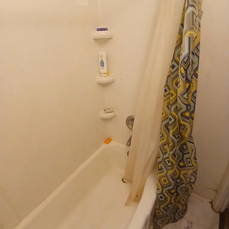 Picture 15