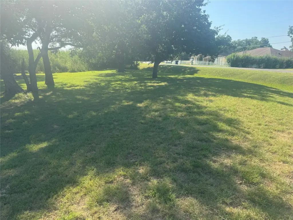 Picture 6