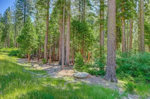 Dorrington Residential Lot For Sale