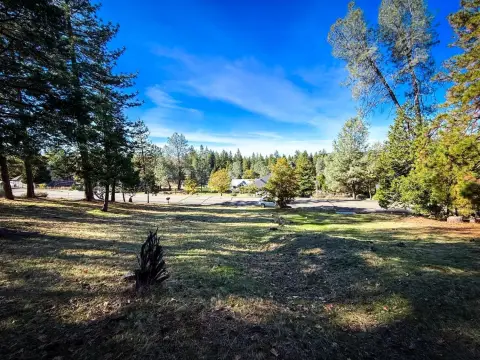 Residential Lot in Forest Meadows