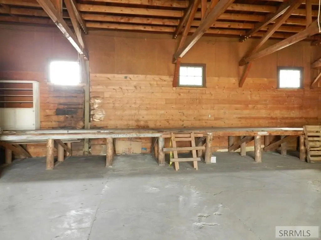 Picture 23