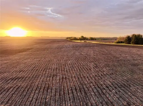 Iowa Farmland Auction - Yale