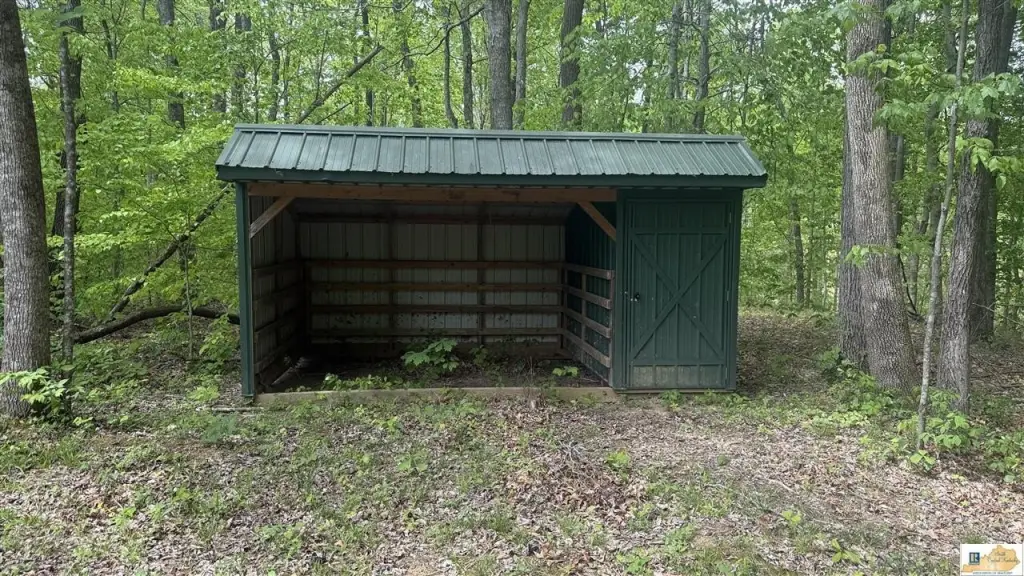 Picture 3