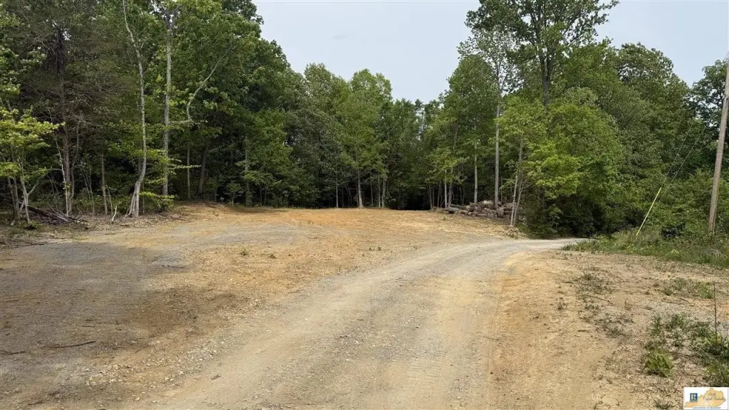 Picture 18