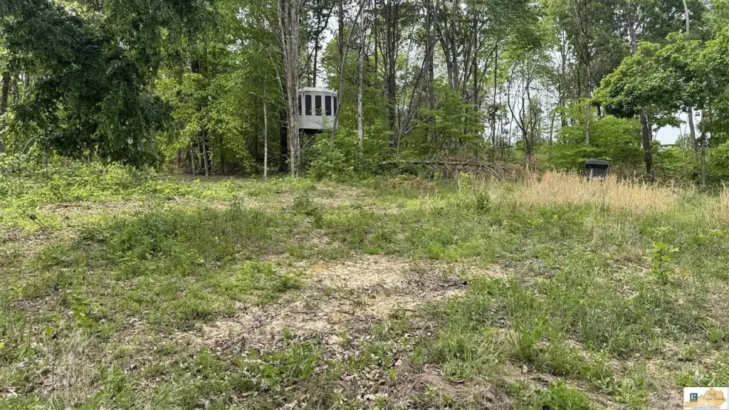 Picture 16