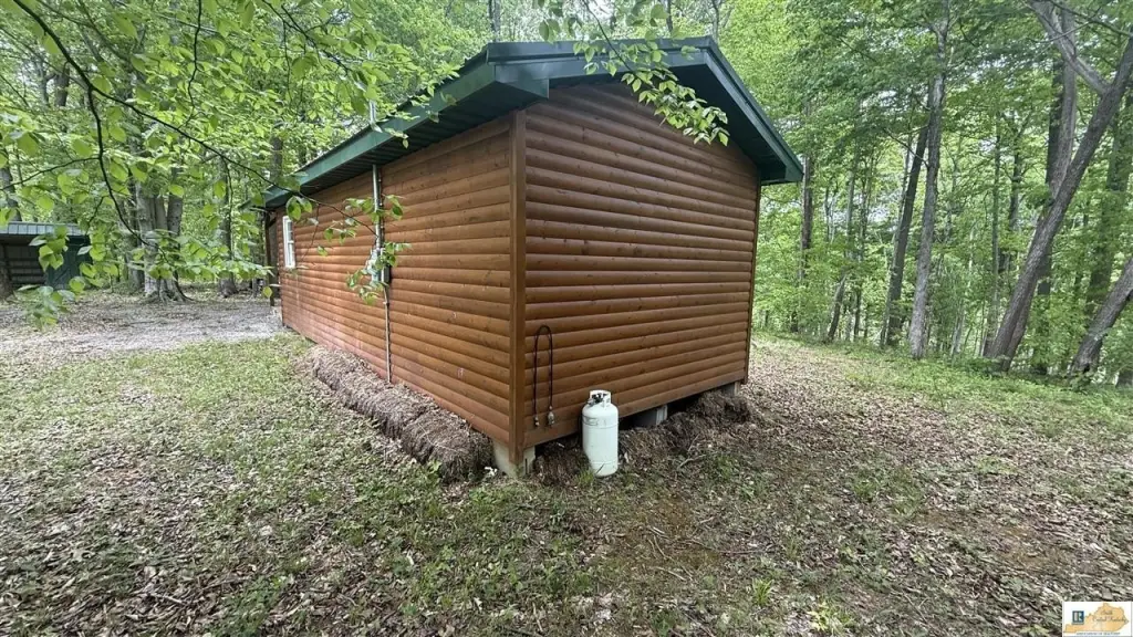Picture 11