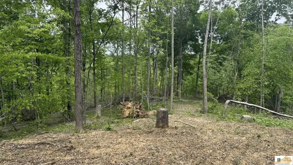 Picture 23
