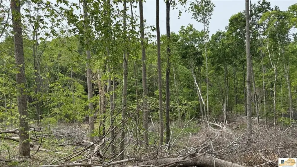 Picture 32