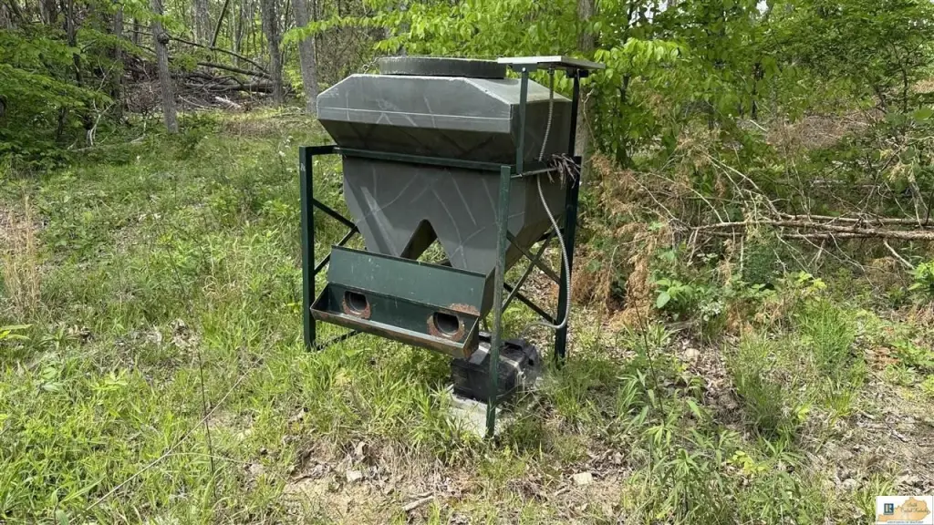 Picture 17
