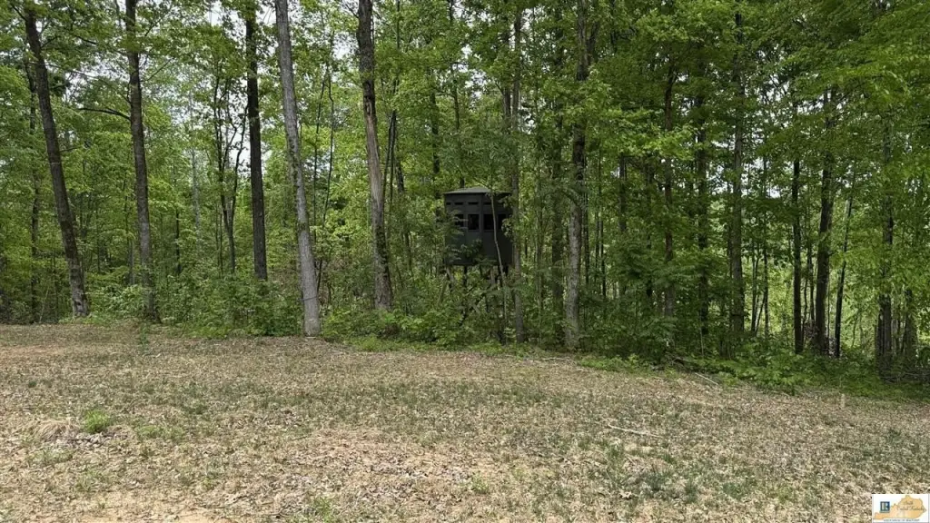 Picture 14