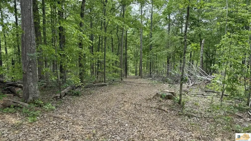 Picture 28