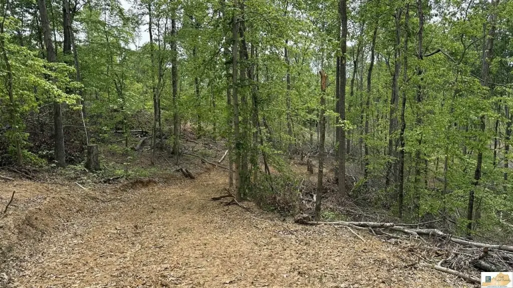 Picture 29