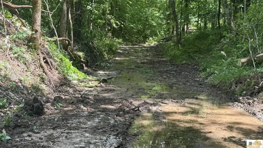Picture 20