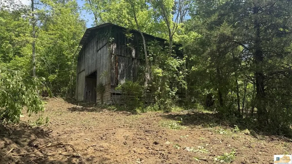 Picture 19