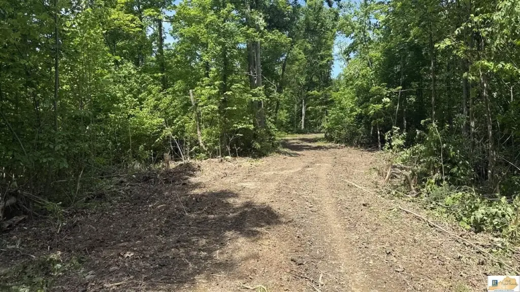 Picture 17