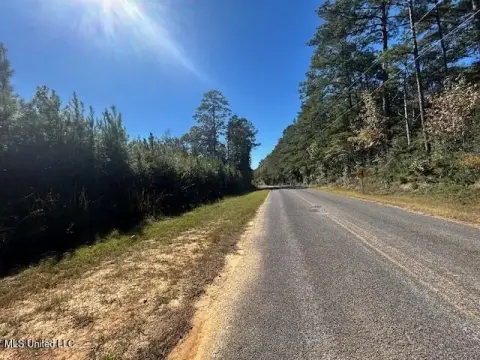 49.81 Acres in Summit, MS