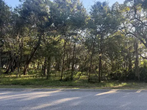 Charleston Homesite with Grand Live Oaks