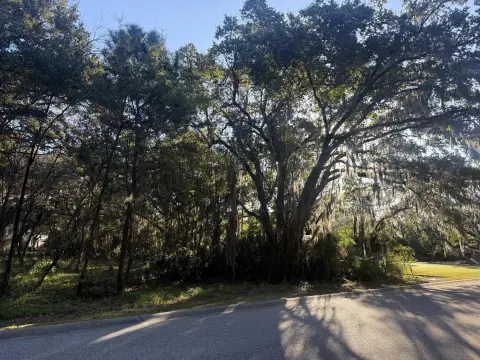 Charleston Homesite with Grand Live Oaks